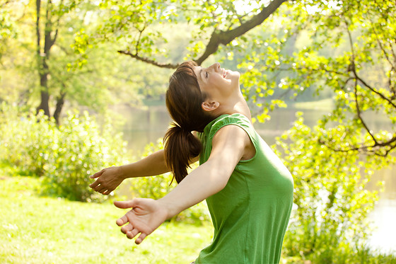 Le cabinet de Sarah - photo 0