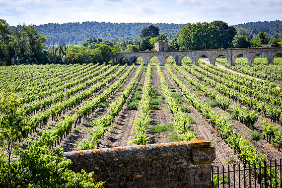 Résidence du Château de Jouarres - photo 7