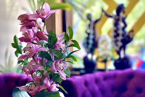 THAI GARDEN BY EMLIO CARCUR - photo 2