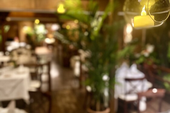 THAI GARDEN BY EMLIO CARCUR - photo 4