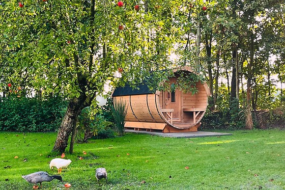 B&B Voor de Wind - photo 7