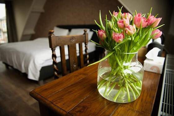 B&B Eetcafé Punt - photo 8