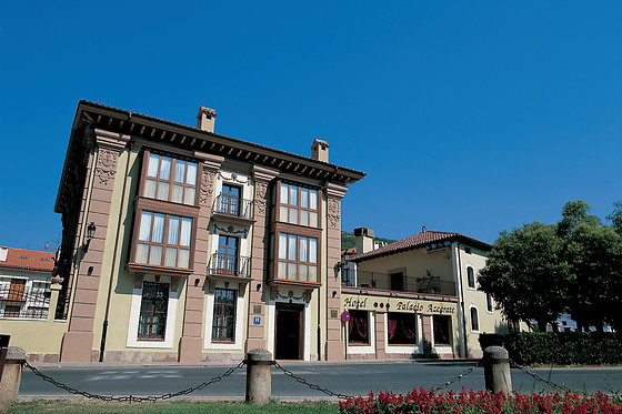 HOTEL PALACIO AZCARATE - photo 5