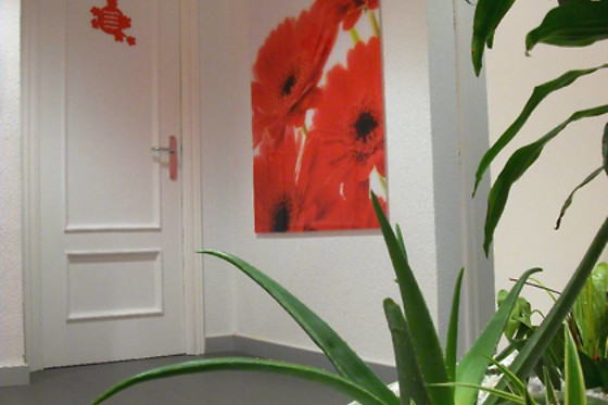 CLINICAS MASSANA - photo 2