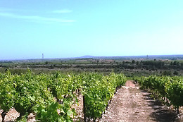 Gîtes Tout au sud de la France