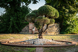 Résidence de Diane****