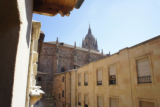 MONUMENTAL APARTMENTS SALAMANCA - photo 4