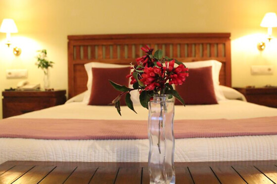 HOTEL QUINTA DE LA VILLANUEVA - photo 7