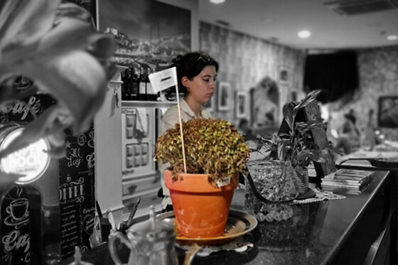 FADO PORTUGUÊS - photo 7