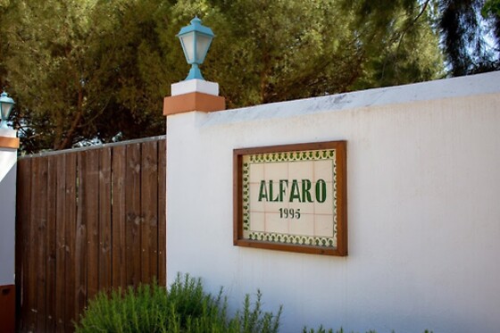 Alfaro'95 - photo 6
