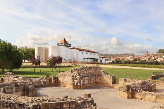 BODEGAS CORRAL - photo 0