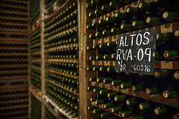 BODEGAS CORRAL