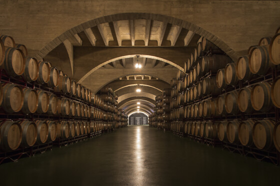 BODEGAS CORRAL - photo 1