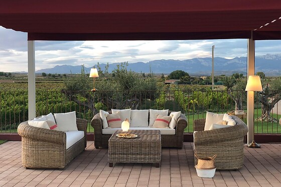 BODEGAS CORRAL - photo 5