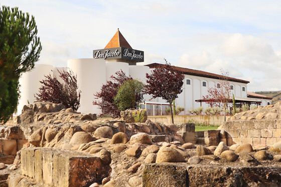 BODEGAS CORRAL - photo 7