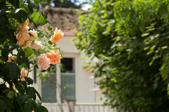LA ROSERAIE - photo 0