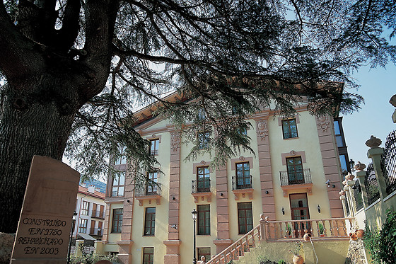 HOTEL PALACIO AZCARATE - photo 1