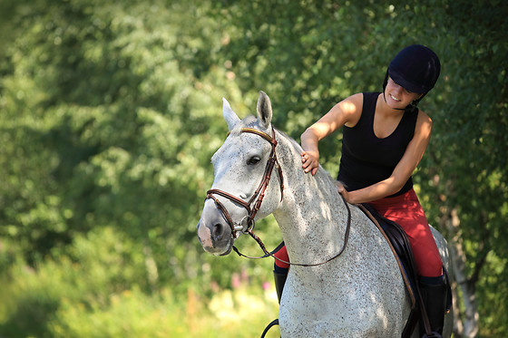 All-inweekend in Frankrijk