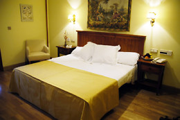 CASONA DE LA REYNA
