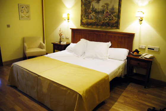 CASONA DE LA REYNA - photo 2