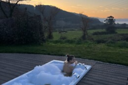 LUZADA GLAMPING BURBUJAS