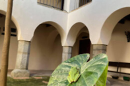 EL REFUGIO DE LOS TEMPLARIOS