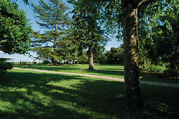 Le haut des Lys
