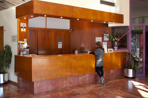 HOTEL DOMO - photo 10