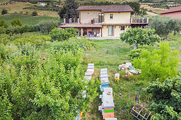 B&B Alveare di Rita