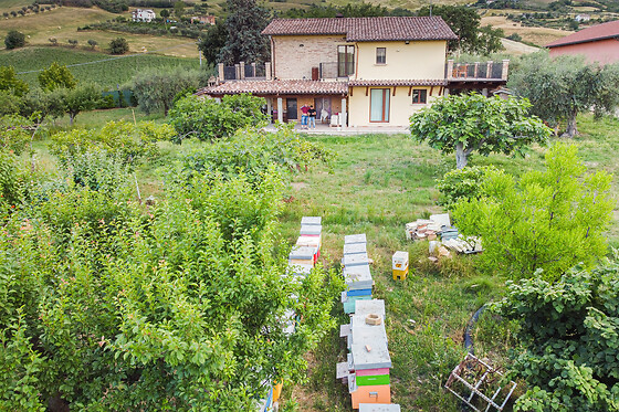 B&B Alveare di Rita - photo 1