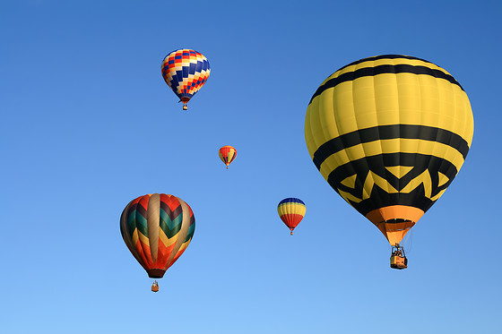 GLOBOS BOREAL - photo 2