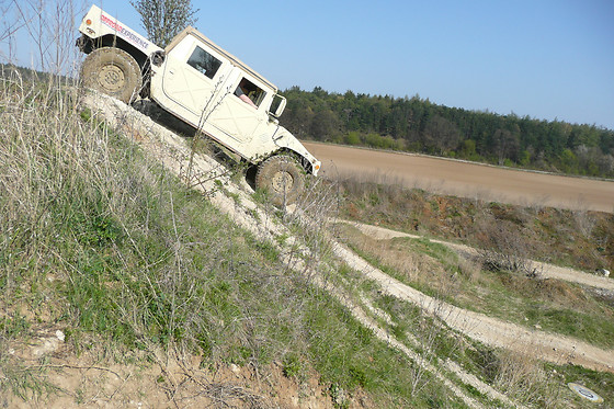 GEA FORESTAL ECO TURISMO ACTIVO - photo 4