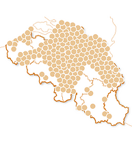 Spannende activiteiten