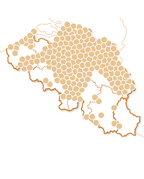 Spannende activiteiten
