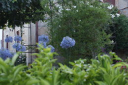 Quinta de Canhões
