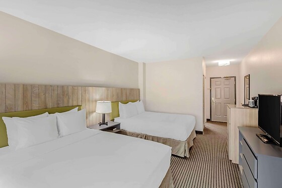 Online Booking EPS - photo 9