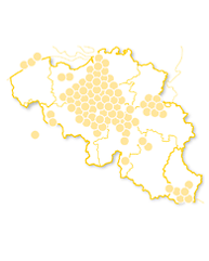 Joyeux anniversaire Gold