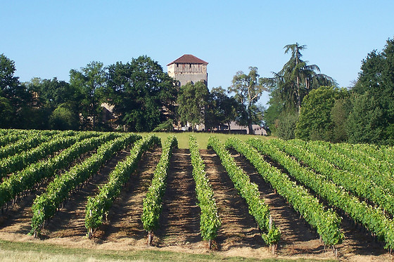 Domaine Armagnac Lafitte - photo 4