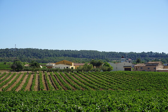 BODEGA PARATÓ - photo 0