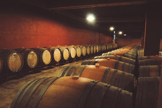 BODEGA PARATÓ - photo 1