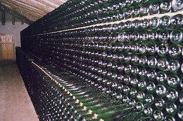 BODEGA PARATÓ