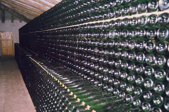 BODEGA PARATÓ - photo 2