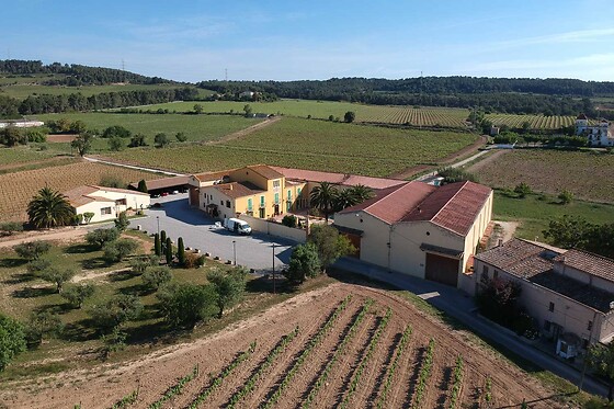 BODEGA PARATÓ - photo 3