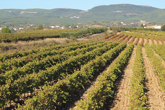 BODEGA PARATÓ - photo 4