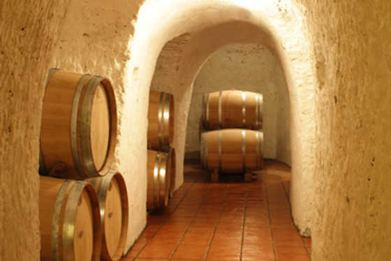 BODEGAS OVIDIO GARCIA - photo 3