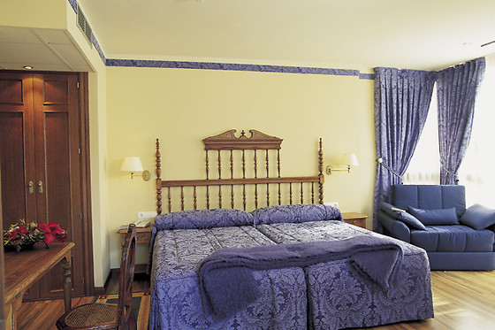 HOTEL PALACIO AZCARATE - photo 6