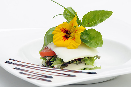 Repas 2 services pour 2 à De Noteloze Notelaar à Wetteren (Flandre orientale)
