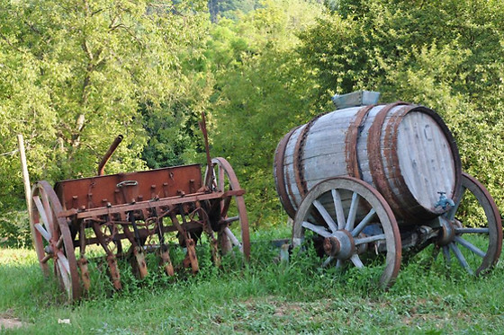 I Conti della Serva - photo 6
