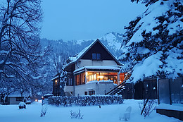 Hôtel Le Vieux Tilleul - Restaurant L'Insolent