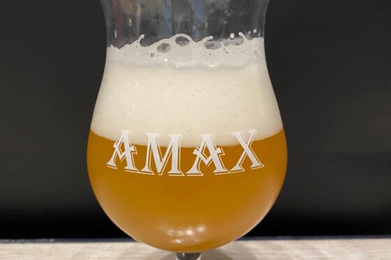 Amax - photo 1
